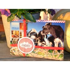 Cadeaubon Workshop kaasmaken